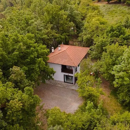 Villa La Quiete Del Pero Fiorito In The Langhe *